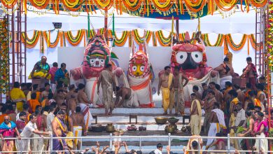 Jagannath Rath Yatra 2035: Lord Jagannath's bathing festival is today, know when the Rath Yatra will take place