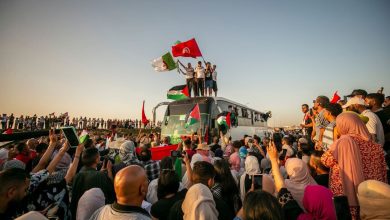 Sumud Convoy Gaza: A convoy of 50 countries is reaching Rafah, know what is 'Sumud Convoy' which will break the blockade of Gaza