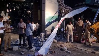 Zoo Wall Collapse: Two women died after being buried under the debris when the zoo wall collapsed