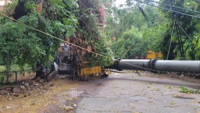 Mobile Tower Collapsed: 100 feet high mobile tower collapsed in Safdarjung Enclave, Delhi, major accident averted