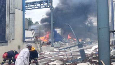 Telangana Chemical Plant Explosion: Explosion in the reactor of a chemical plant in Sangareddy, 10 workers killed, many injured