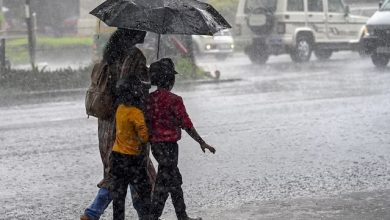 Haryana Monsoon: हरियाणा में समय से पहले पहुंचा मानसून, अगले कुछ दिनों में भारी बारिश की चेतावनी
