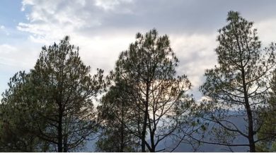 Weather changes in Uttarakhand, heavy rain and storm alert in hilly districts, impact in plain areas too