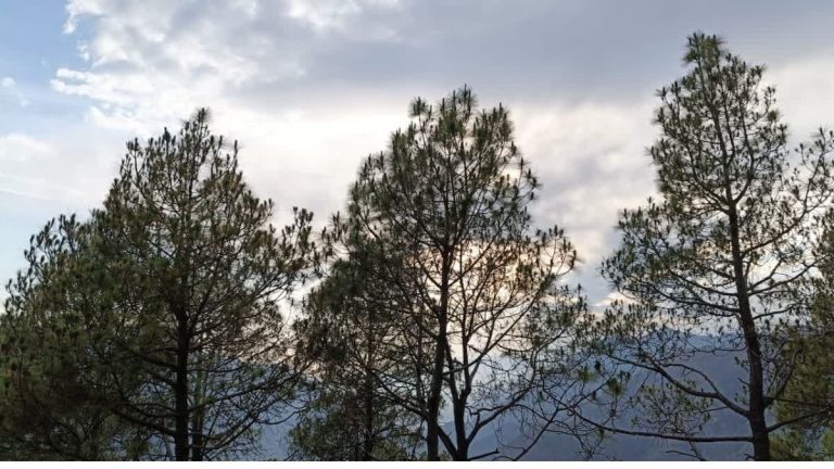 Weather changes in Uttarakhand, heavy rain and storm alert in hilly districts, impact in plain areas too