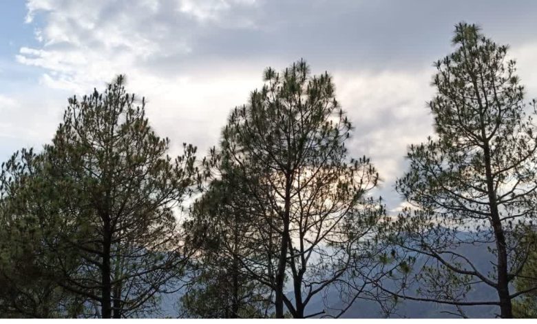 Weather changes in Uttarakhand, heavy rain and storm alert in hilly districts, impact in plain areas too