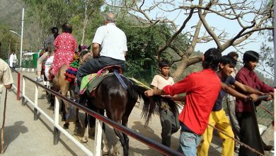 माता वैष्णो देवी यात्रा मार्ग पर अवैध पिट्ठू संचालक गिरफ्तार
