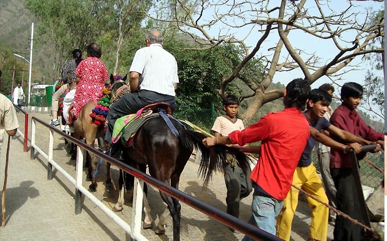 माता वैष्णो देवी यात्रा मार्ग पर अवैध पिट्ठू संचालक गिरफ्तार