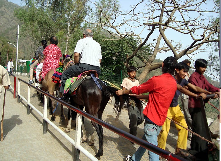 माता वैष्णो देवी यात्रा मार्ग पर अवैध पिट्ठू संचालक गिरफ्तार