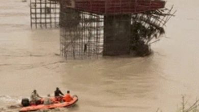 Rajasthan Flood News: Heavy rains cause havoc in Baran, Rajasthan, SDRF rescues 29 people trapped in Parvati river