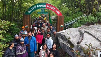 Tourists flock to Valley of Flowers, a world heritage site that has become a paradise for nature lovers