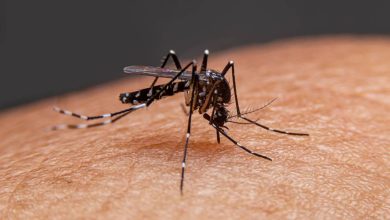 Dengue-Malaria in Gurugram