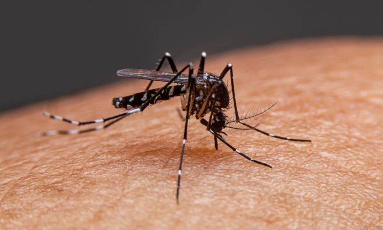 Dengue-Malaria in Gurugram