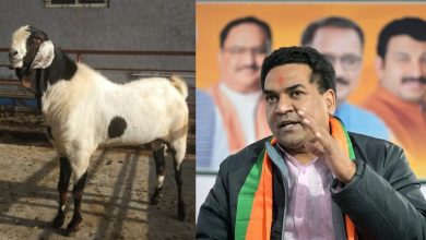 Bakrid 2025: दिल्ली सरकार के मंत्री कपिल मिश्रा ने जारी की एडवाइज़री, अवैध बलि और पशु क्रूरता पर पूर्ण प्रतिबंध