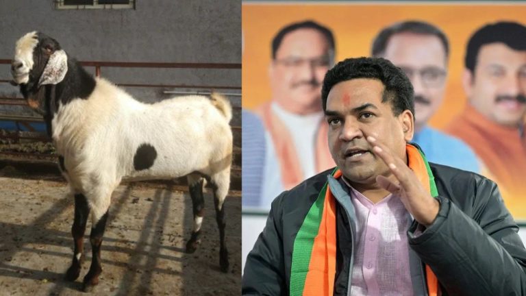 Bakrid 2025: दिल्ली सरकार के मंत्री कपिल मिश्रा ने जारी की एडवाइज़री, अवैध बलि और पशु क्रूरता पर पूर्ण प्रतिबंध