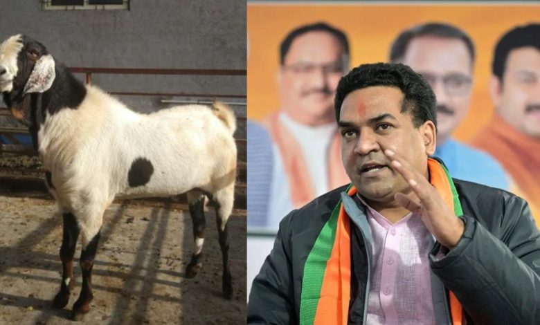 Bakrid 2025: दिल्ली सरकार के मंत्री कपिल मिश्रा ने जारी की एडवाइज़री, अवैध बलि और पशु क्रूरता पर पूर्ण प्रतिबंध
