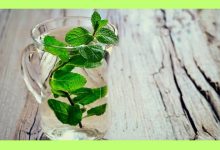 Mint Water for Fat