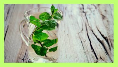 Mint Water for Fat