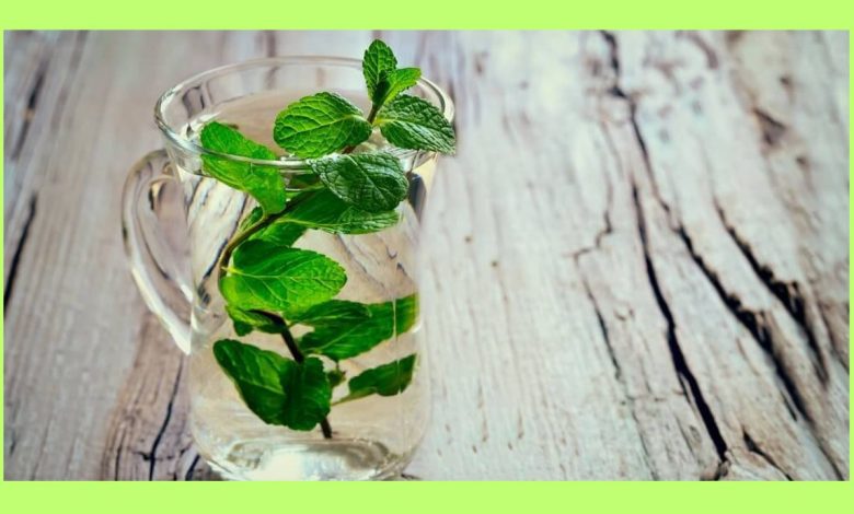 Mint Water for Fat