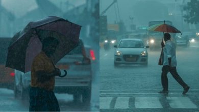 Monsoon Update: भारत में मॉनसून बना आफत, कई राज्यों में तबाही, अलर्ट जारी