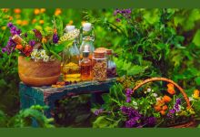 Grow 5 Medicinal Plants at Home