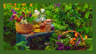 Grow 5 Medicinal Plants at Home