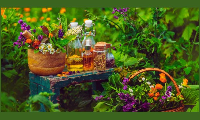 Grow 5 Medicinal Plants at Home