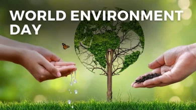 World Environment 2025: On Environment Day, know the theme of 2025 and why it is important for us!