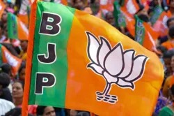 Congress wins in Nilambur, BJP flag hoisted in Kadi
