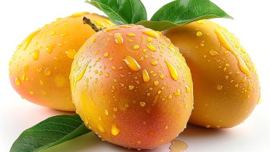 Mango Side Effects: गर्मियों में आम का सही सेवन, फायदे, नुकसान और जरूरी सावधानियां