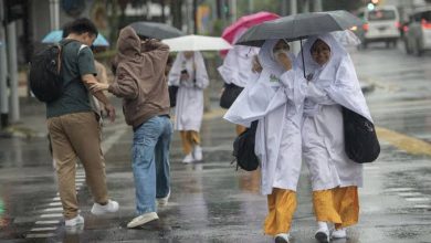 Weather Update: New mood of the weather in the beginning of June, thunderstorms and rain knock!