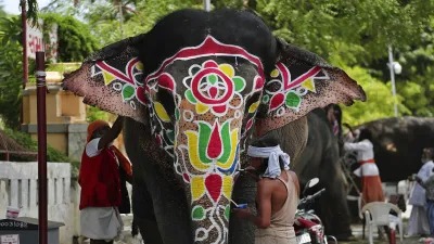 Elephant went out of control during Rath Yatra, panic in Ahmedabad – Administration took charge