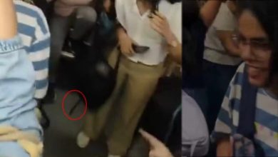 Rumor of 'snake' in Delhi Metro's ladies coach created panic, viral video caught people's attention