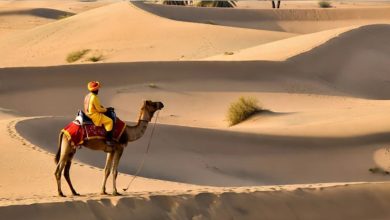 Rajasthan Weather: Severe heat wreaks havoc in Rajasthan, Sri Ganganagar becomes the hottest city in the country