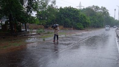 Rajasthan Rainfall: Heavy rains in Rajasthan brought relief from the scorching heat, farmers' faces lit up