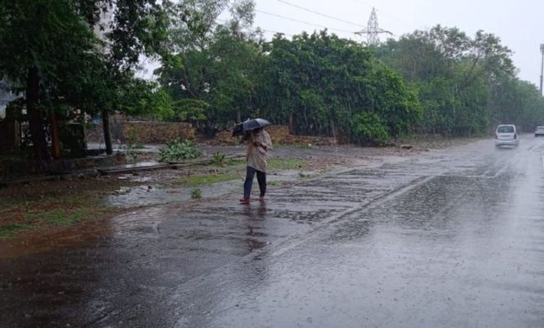 Rajasthan Rainfall: Heavy rains in Rajasthan brought relief from the scorching heat, farmers' faces lit up