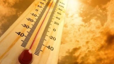 Rajasthan Heatwave: Heat breaks all records in Rajasthan, Sri Ganganagar becomes the hottest city in the country, mercury reaches 49.4°C