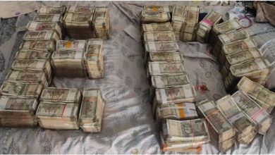 ED Raid Nexa Evergreen Scam: ED raids 25 places in Rajasthan, 2.4 crore cash seized