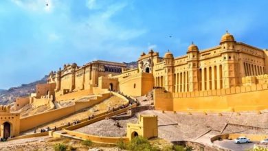 Amer Fort Revenue: Amer Fort broke records in tourism, earned 11 crores in 5 months, became the first choice of tourists