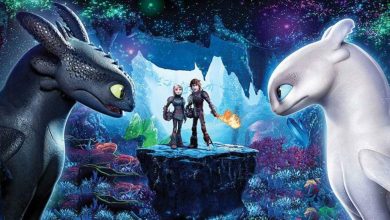 How to Train Your Dragon Collection: Hollywood film 'How to Train Your Dragon' becomes a superhit, earning ₹11.80 crores in 4 days in India