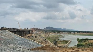 Rajasthan Water Crisis: Isarda dam will be full this time, 1256 villages and 7 cities of Dausa-Sawai Madhopur will get relief
