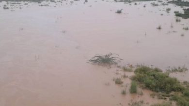Rajasthan Rain Alert: Monsoon picks up pace in Rajasthan, waterlogging in Jaipur disrupts life