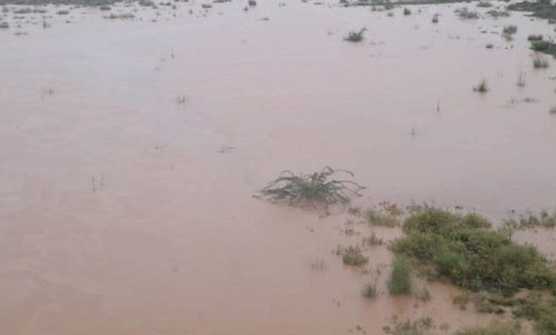 Rajasthan Rain Alert: Monsoon picks up pace in Rajasthan, waterlogging in Jaipur disrupts life
