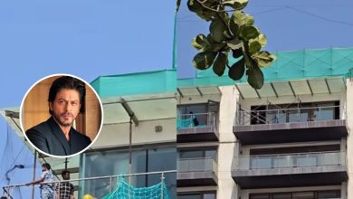 Shah Rukh Khan Mannat Renovation: BMC investigates Shah Rukh Khan's Mannat, Minister Ashish Shelar said- why did they trouble the star?