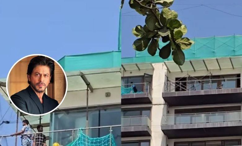 Shah Rukh Khan Mannat Renovation: BMC investigates Shah Rukh Khan's Mannat, Minister Ashish Shelar said- why did they trouble the star?