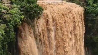 Rajasthan waterfall: Monsoon showered its blessings on Padajhar waterfall before Sawan, water stream falling on Shivling every day