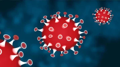Increasing cases of corona and dengue in Uttarakhand are a cause of concern, health department in alert mode
