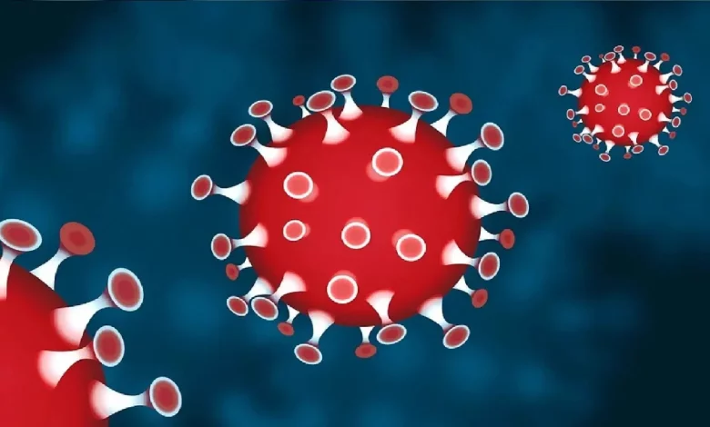 Increasing cases of corona and dengue in Uttarakhand are a cause of concern, health department in alert mode