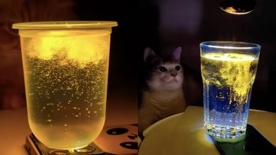 Turmeric water trend: Turmeric water trend is trending on social media! Astrologers gave a 'shocking' warning
