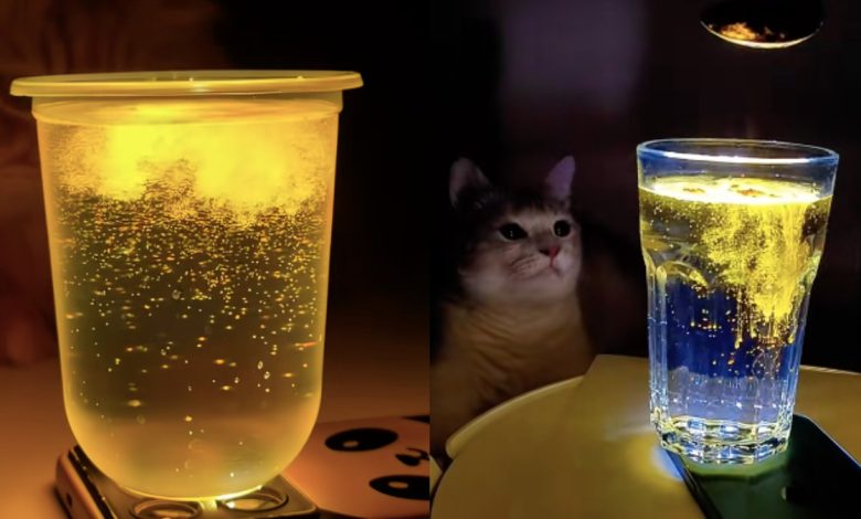 Turmeric water trend: Turmeric water trend is trending on social media! Astrologers gave a 'shocking' warning