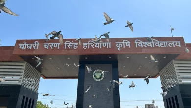 HAU Hisar: छात्रों और सरकार के बीच बनी सहमति, आंदोलन समाप्ति की ओर